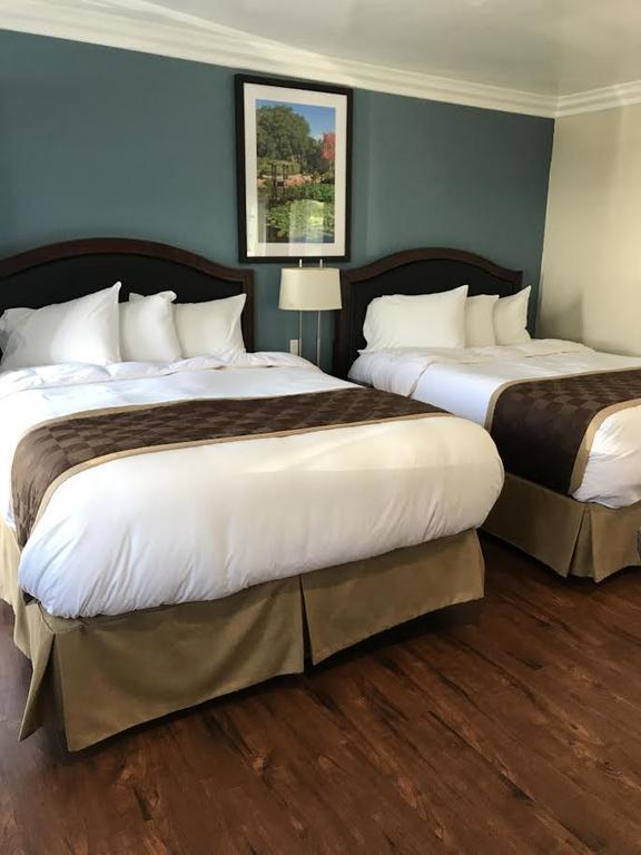 ונטורה Rex Motel מראה חיצוני תמונה