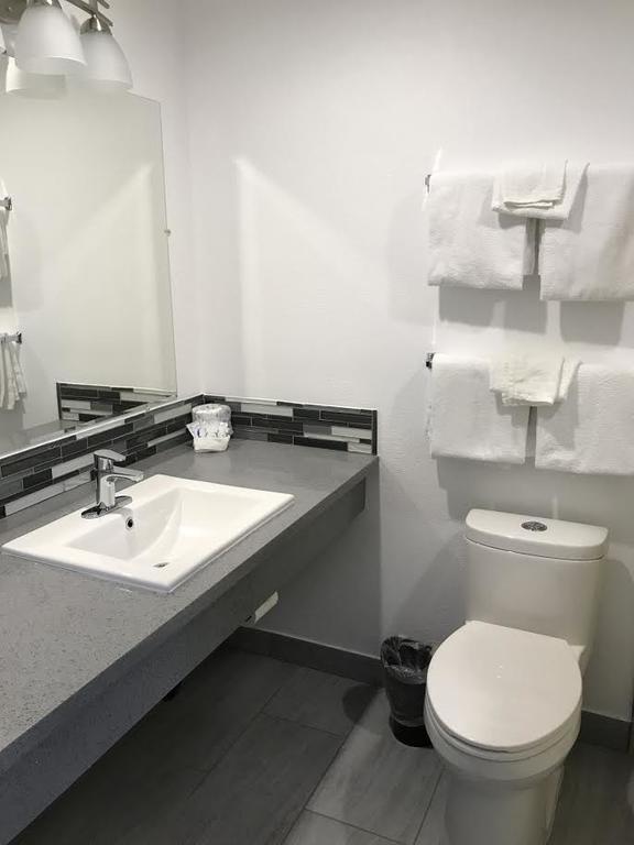 ונטורה Rex Motel מראה חיצוני תמונה