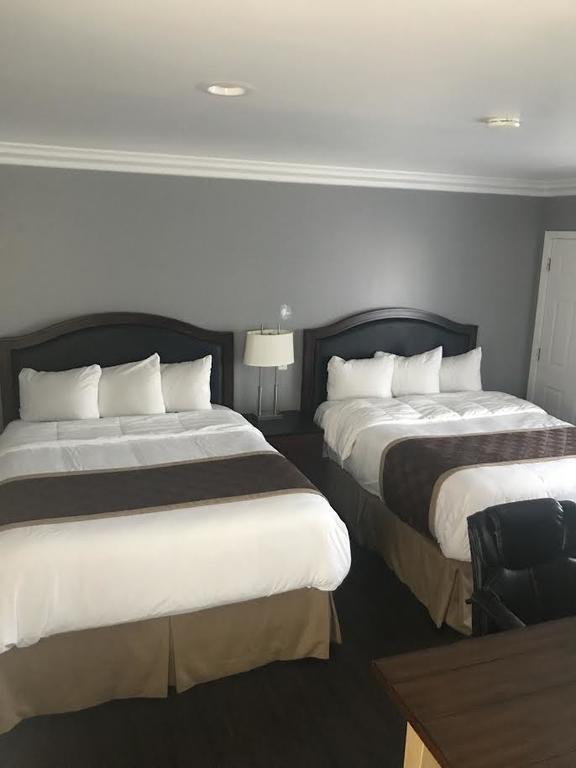 ונטורה Rex Motel מראה חיצוני תמונה